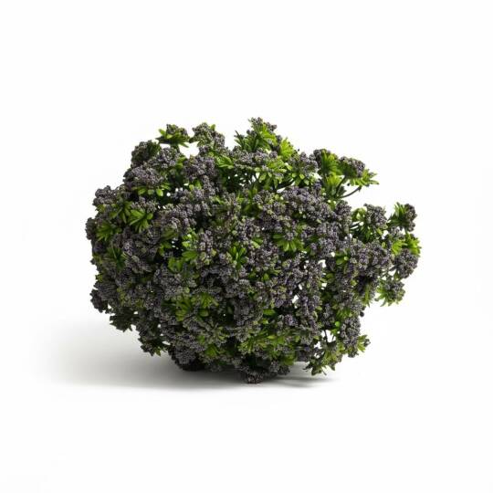 Renkli Tomurcuk Plastik Borulu 9 Kafa Antrasit ZMT-812 - 2