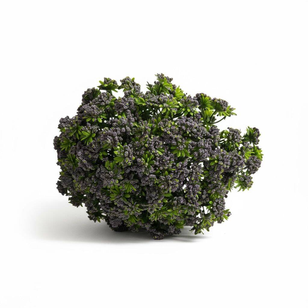 Renkli Tomurcuk Plastik Borulu 9 Kafa Antrasit ZMT-812 - 2