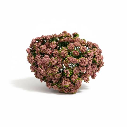 Renkli Tomurcuk Plastik Borulu 9 Kafa Pembe ZMT-812 - 2