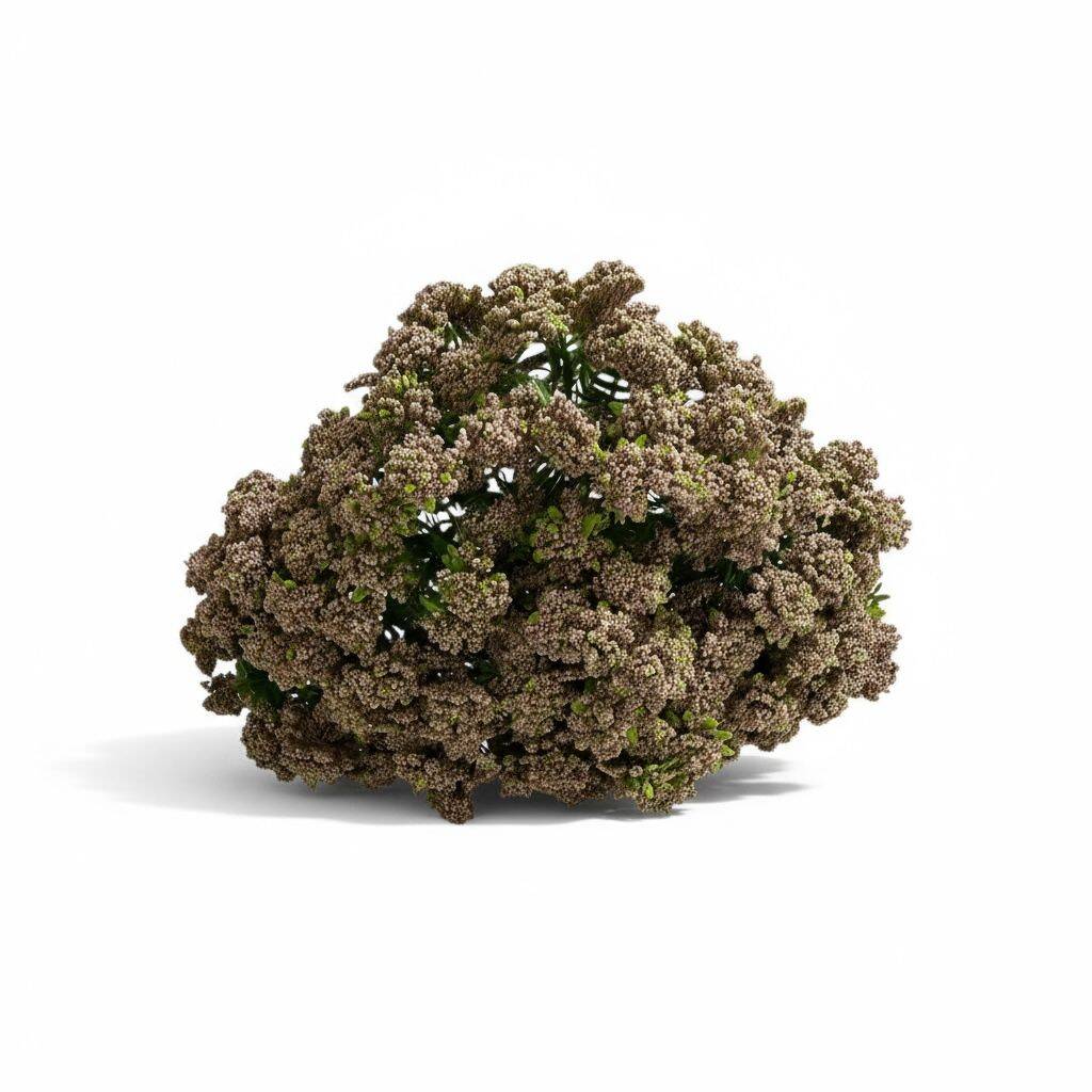 Renkli Tomurcuk Plastik Borulu 9 Kafa Vizon ZMT-812 - 2